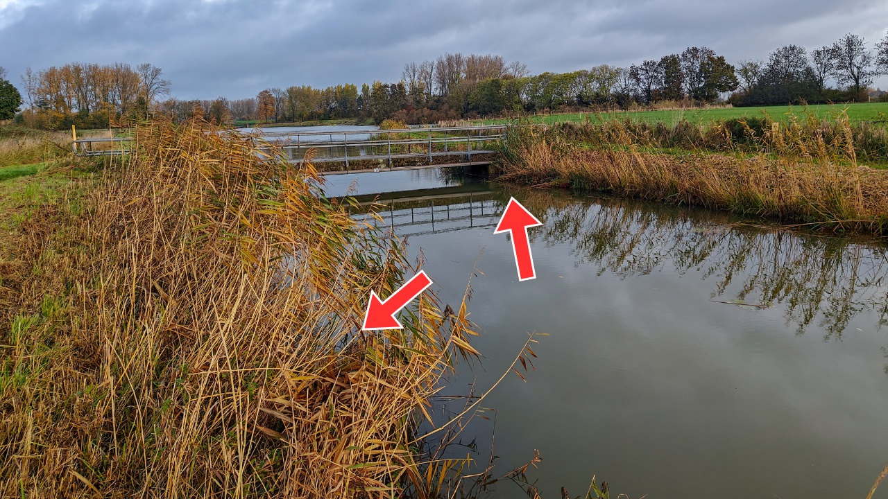 Naast de brug staan waterplanten en daarnaast de uitstekende waterplanten zijn een goede plek voor snoek