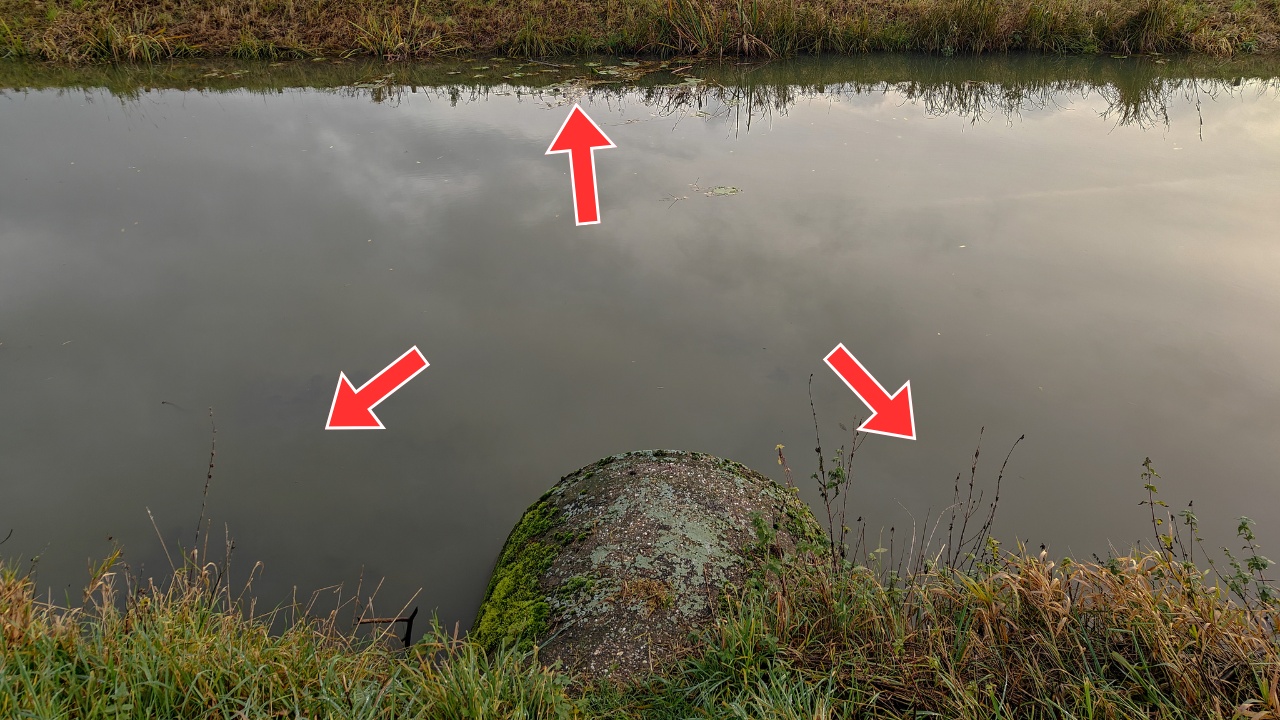 Naast onderbrekingen in het water en vergeet zeker de waterplanten niet!