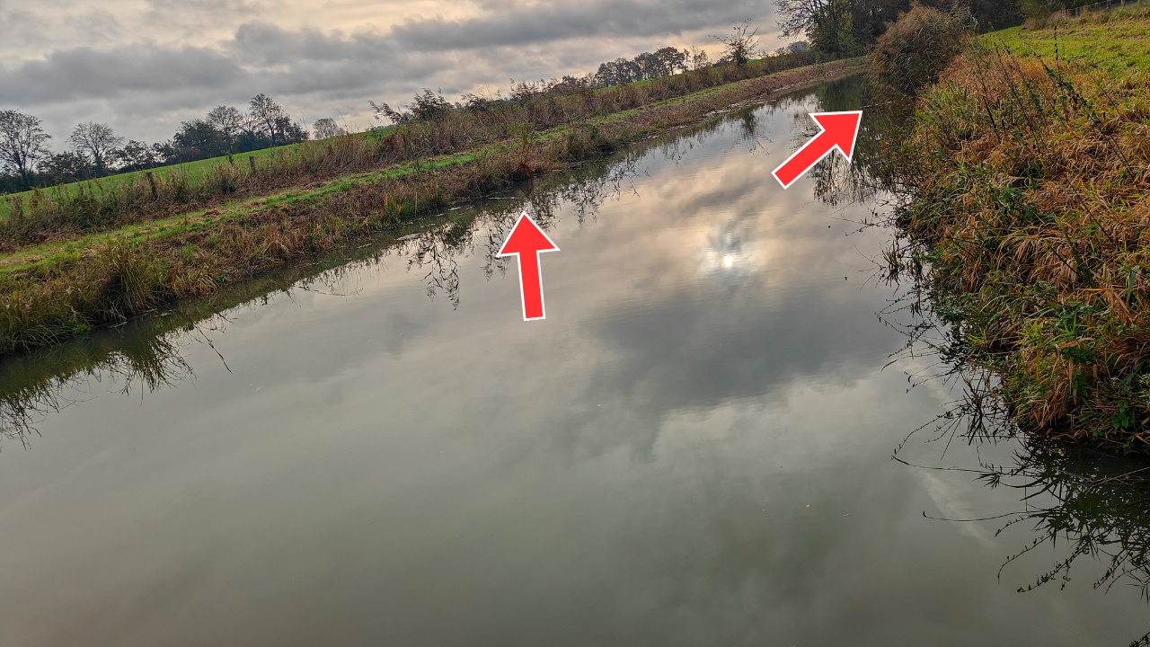 Weer de uitstekende waterplanten en de rietkragen naast het water, top stek!