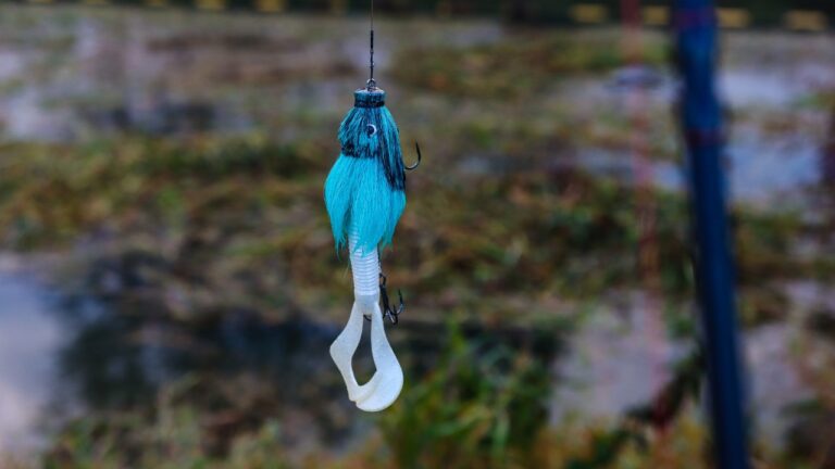 De Miuras Mouse: De legendarische herfstbom