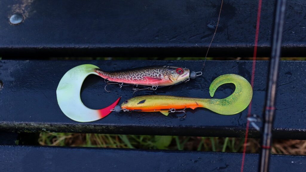 De beste grote shads voor in de herfst