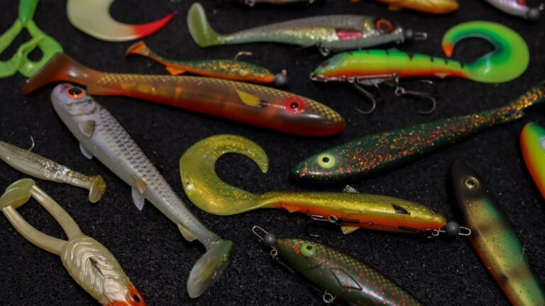 De beste grote shads voor in de herfst