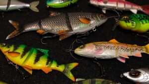 De beste swimbaits voor in de herfst