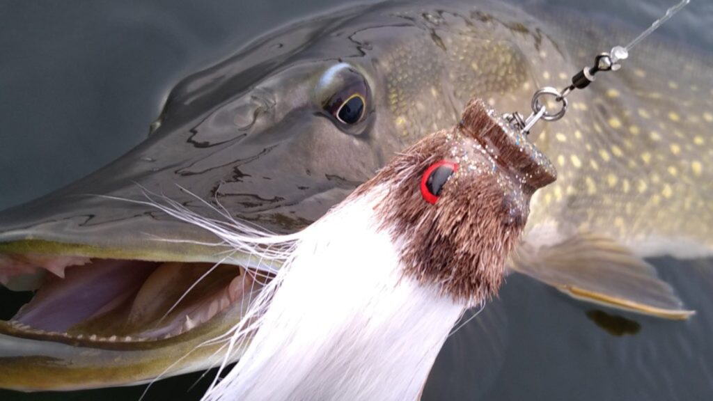 De Miuras Mouse: De legendarische herfstbom