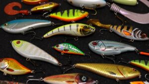 De beste jerkbaits voor de herfst